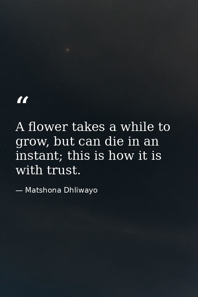 A flower takes a while to grow, but can die in an instant; this is how it is with trust. — Matshona Dhliwayo