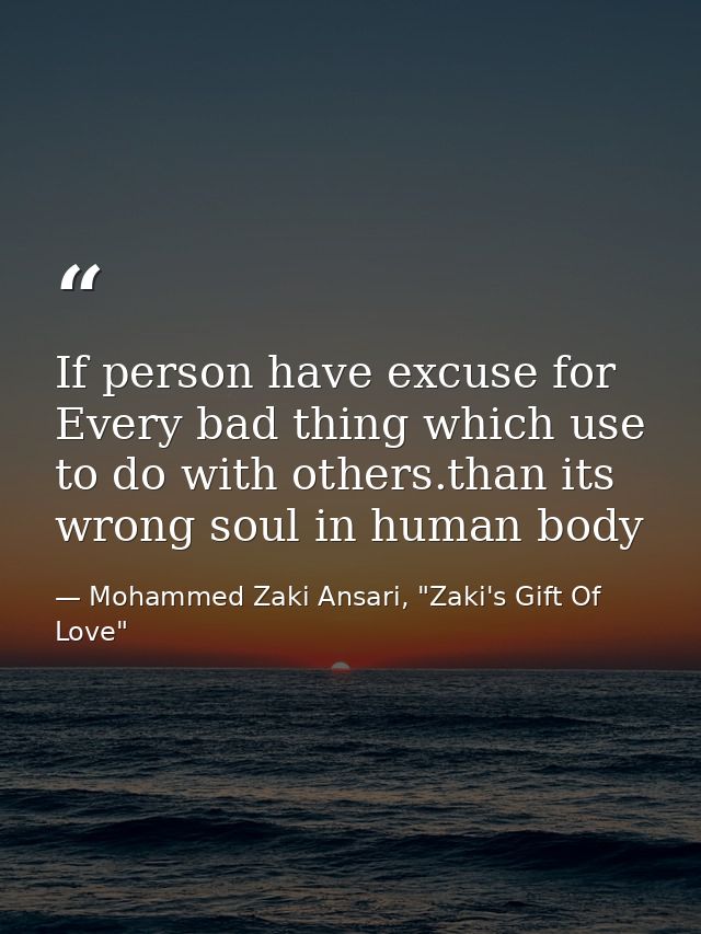 If person have excuse for Every bad thing which use to do with others.than its wrong soul in human body — Mohammed Zaki Ansari, "Zaki's Gift Of Love"