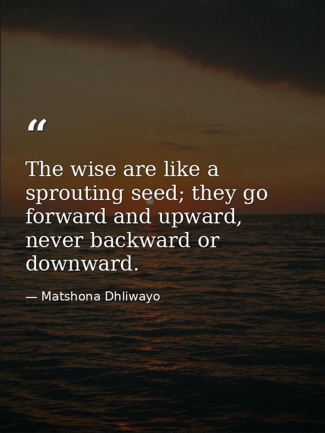 The wise are like a sprouting seed; they go forward and upward, never backward or downward. — Matshona Dhliwayo