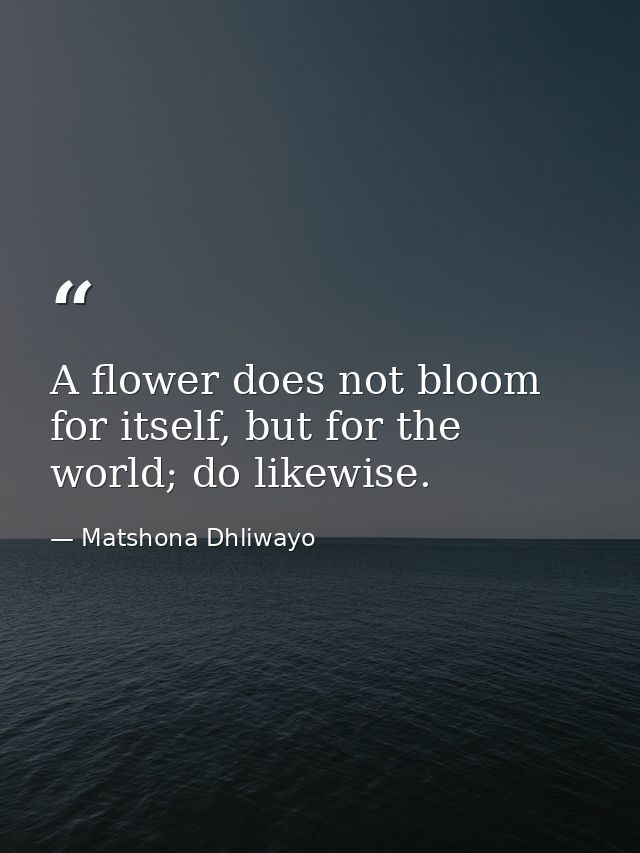 A flower does not bloom for itself, but for the world; do likewise. — Matshona Dhliwayo