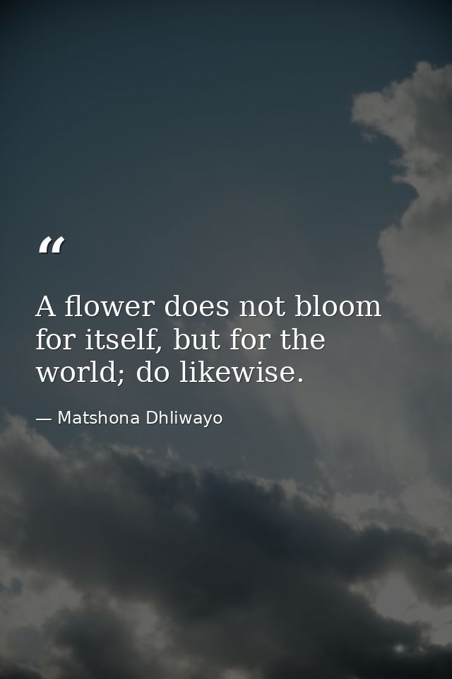 A flower does not bloom for itself, but for the world; do likewise. — Matshona Dhliwayo