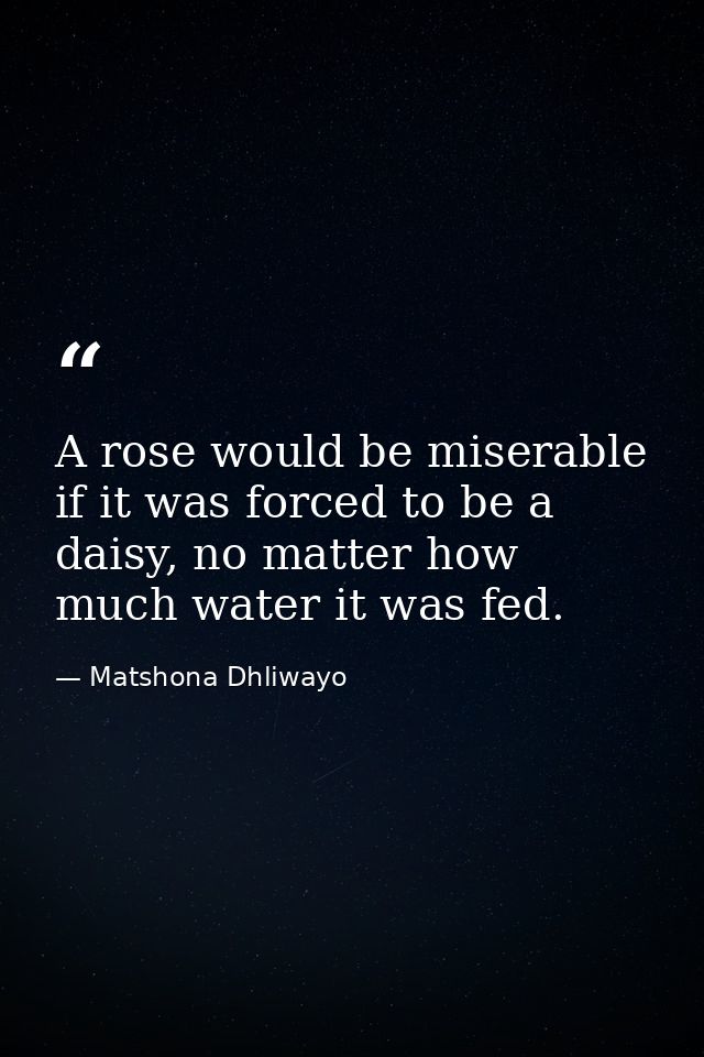 A rose would be miserable if it was forced to be a daisy, no matter how much water it was fed. — Matshona Dhliwayo