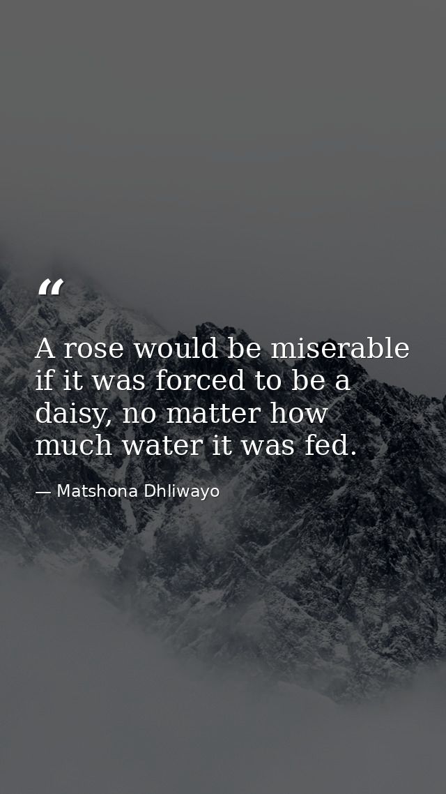 A rose would be miserable if it was forced to be a daisy, no matter how much water it was fed. — Matshona Dhliwayo