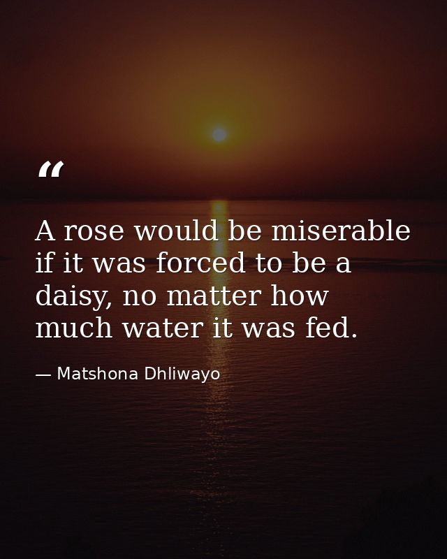 A rose would be miserable if it was forced to be a daisy, no matter how much water it was fed. — Matshona Dhliwayo
