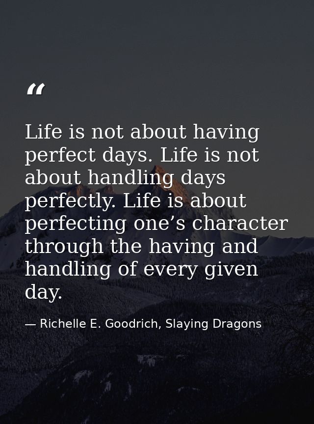 Life is not about having perfect days. Life is not about handling days perfectly. Life is about perfecting one’s charact — Richelle E. Goodrich, Slaying Dragons