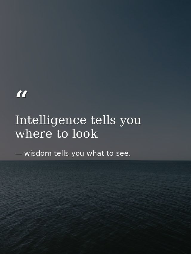 Intelligence tells you where to look — wisdom tells you what to see.