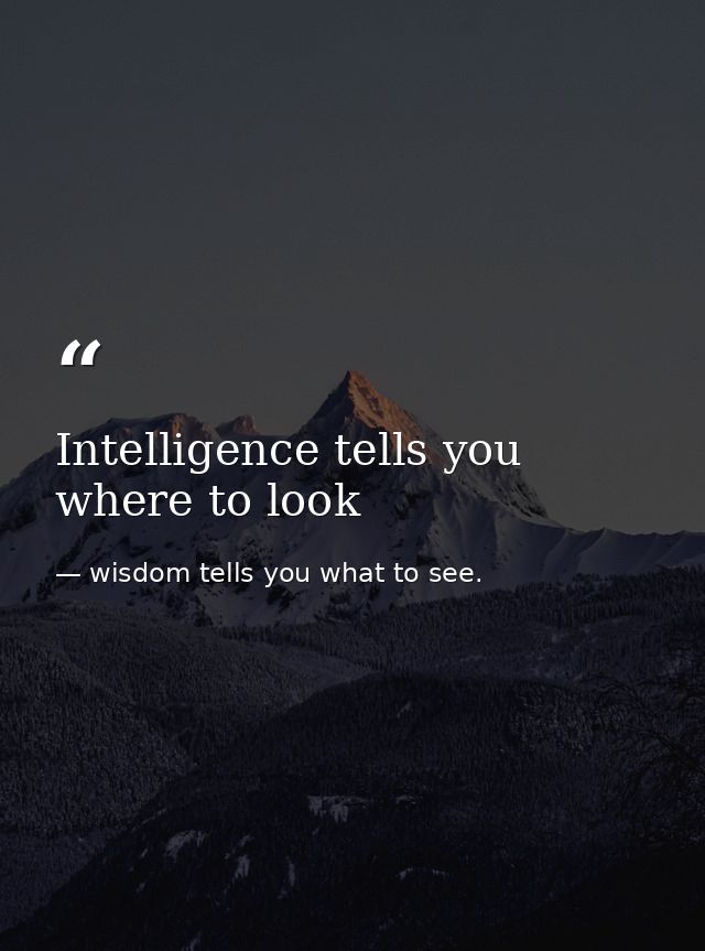 Intelligence tells you where to look — wisdom tells you what to see.