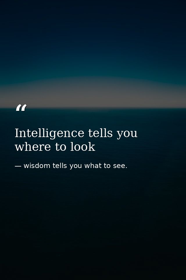 Intelligence tells you where to look — wisdom tells you what to see.