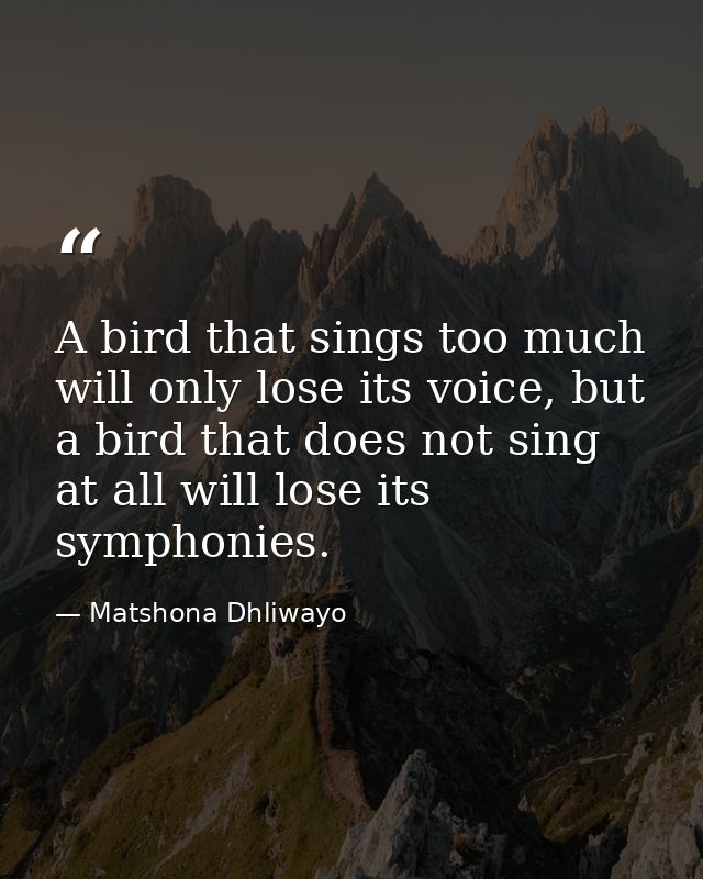 A bird that sings too much will only lose its voice, but a bird that does not sing at all will lose its symphonies. — Matshona Dhliwayo