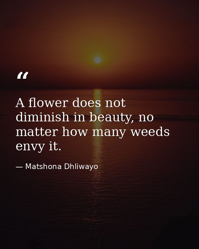 A flower does not diminish in beauty, no matter how many weeds envy it. — Matshona Dhliwayo