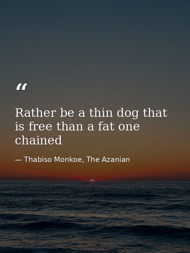 Rather be a thin dog that is free than a fat one chained — Thabiso Monkoe, The Azanian