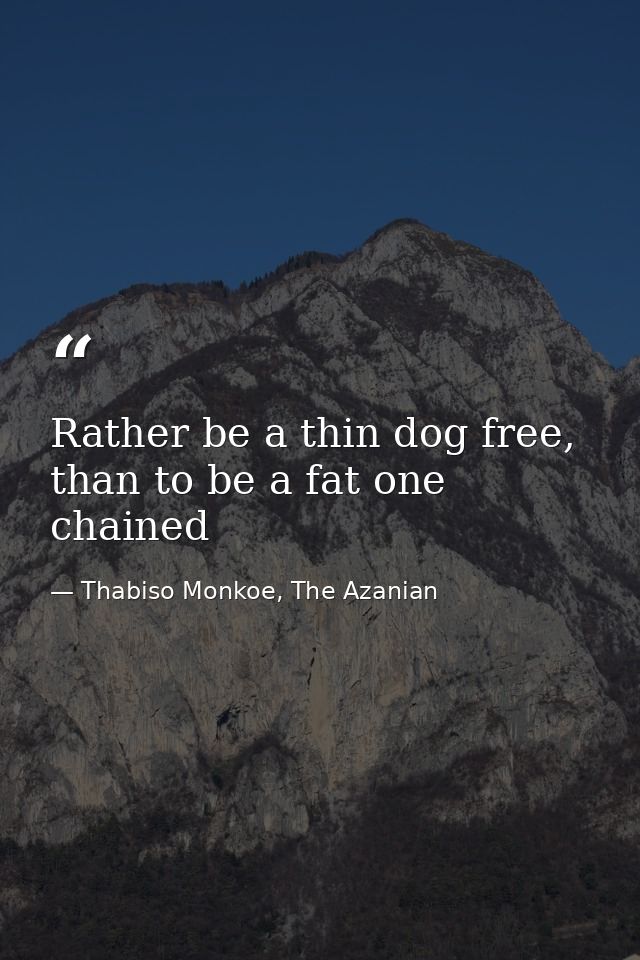 Rather be a thin dog free,  than to be a fat one chained — Thabiso Monkoe, The Azanian