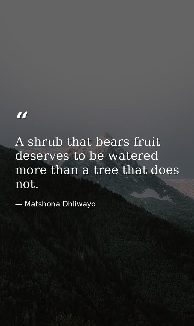A shrub that bears fruit deserves to be watered more than a tree that does not. — Matshona Dhliwayo