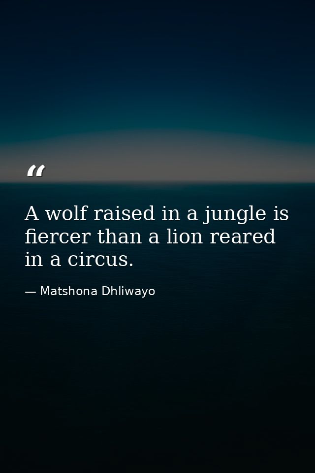 A wolf raised in a jungle is fiercer than a lion reared in a circus. — Matshona Dhliwayo