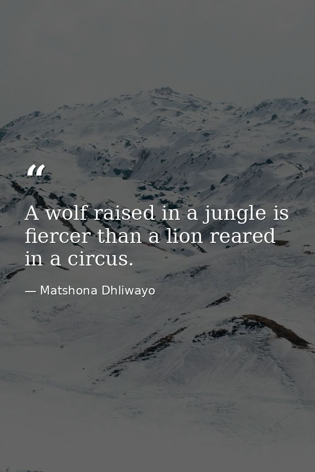 A wolf raised in a jungle is fiercer than a lion reared in a circus. — Matshona Dhliwayo