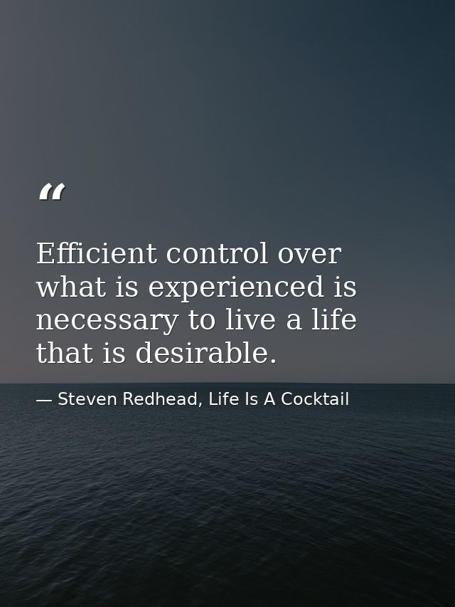 Efficient control over what is experienced is necessary to live a life that is desirable. — Steven Redhead, Life Is A Cocktail