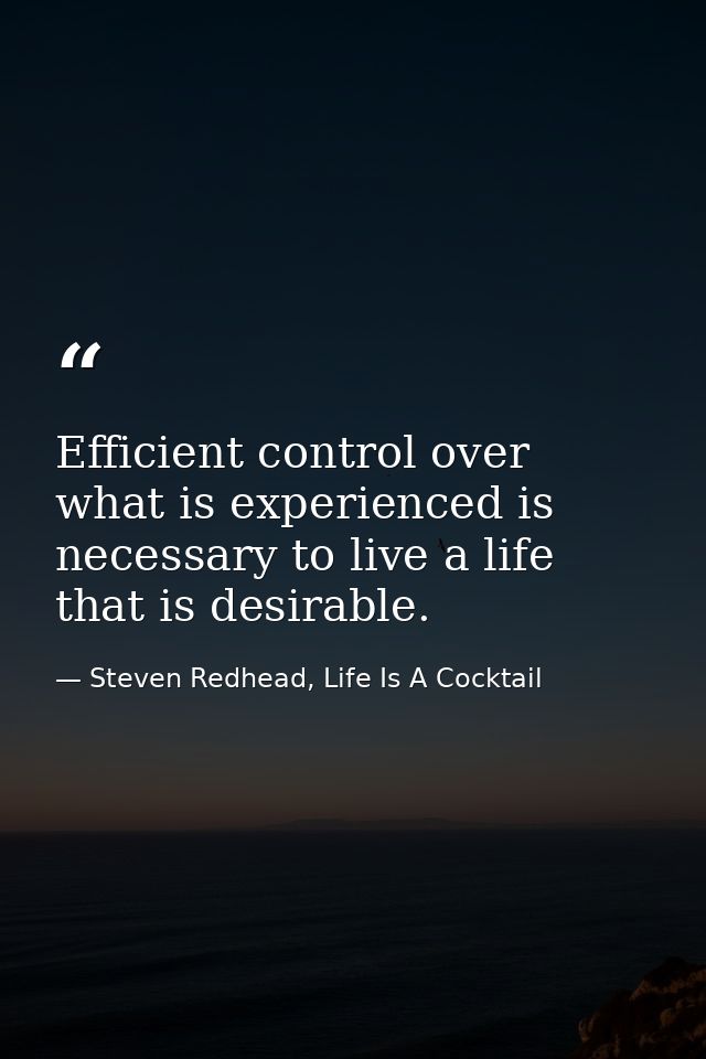 Efficient control over what is experienced is necessary to live a life that is desirable. — Steven Redhead, Life Is A Cocktail