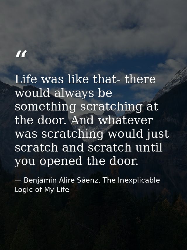 Life was like that- there would always be something scratching at the door. And whatever was scratching would just scrat — Benjamin Alire Sáenz, The Inexplicable Logic of My Life