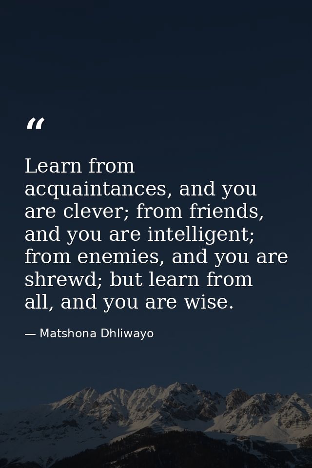 Learn from acquaintances, and you are clever; from friends, and you are intelligent; from enemies, and you are shrewd; b — Matshona Dhliwayo