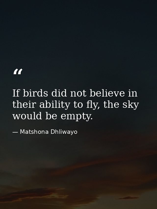 If birds did not believe in their ability to fly, the sky would be empty. — Matshona Dhliwayo
