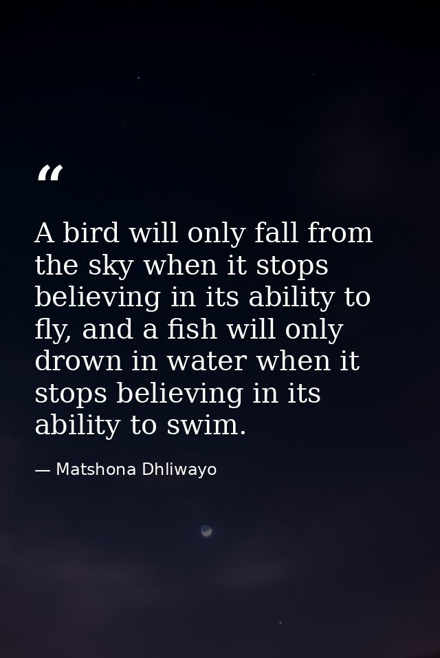 A bird will only fall from the sky when it stops believing in its ability to fly, and a fish will only drown in water wh — Matshona Dhliwayo