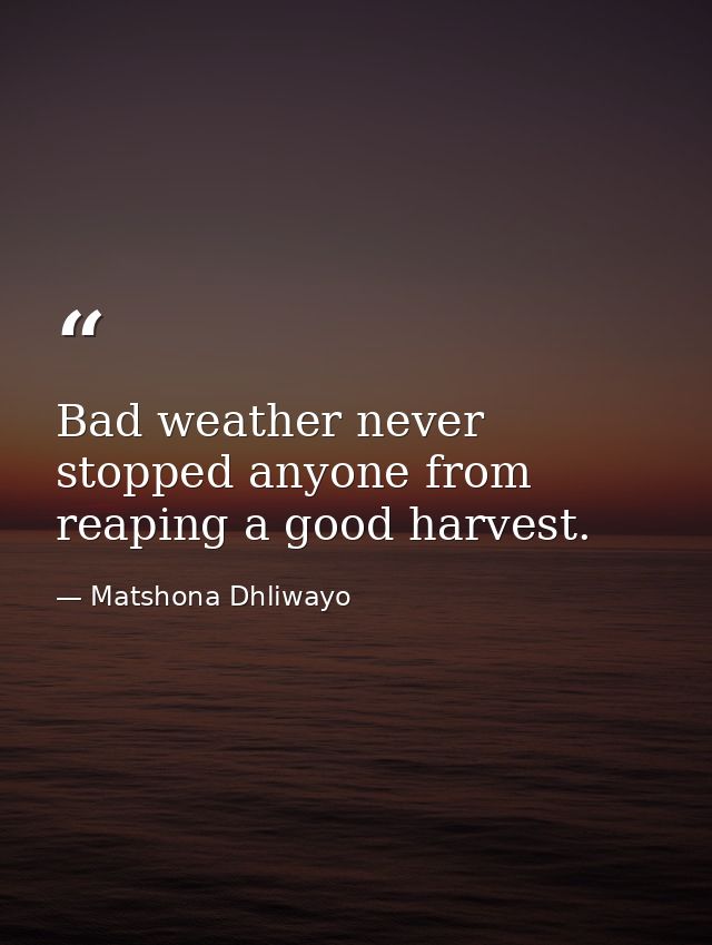 Bad weather never stopped anyone from reaping a good harvest. — Matshona Dhliwayo