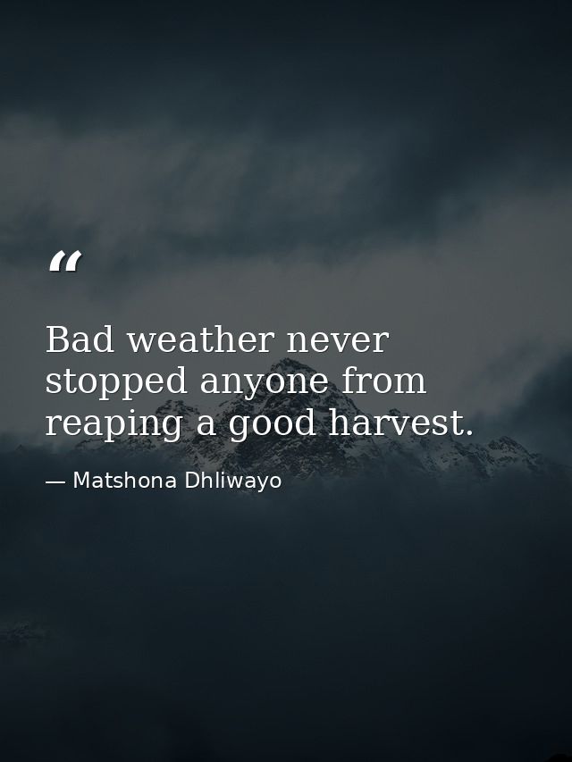 Bad weather never stopped anyone from reaping a good harvest. — Matshona Dhliwayo