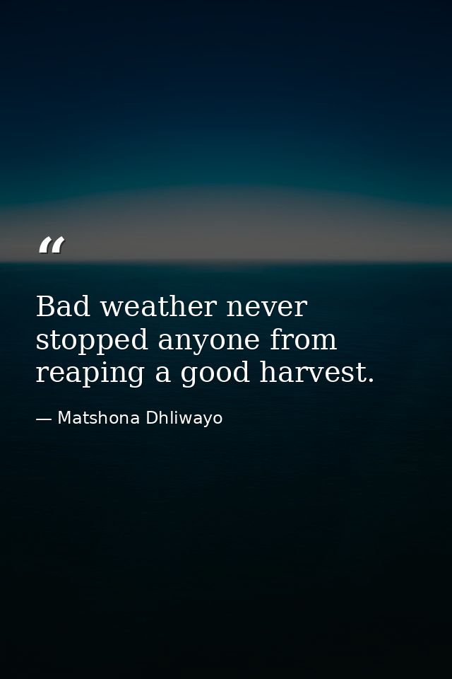 Bad weather never stopped anyone from reaping a good harvest. — Matshona Dhliwayo