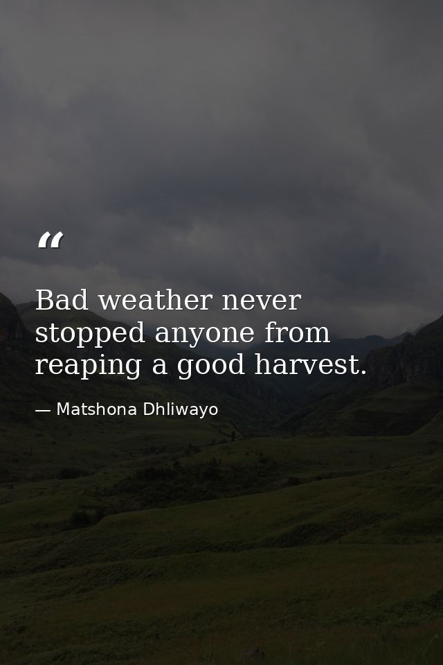 Bad weather never stopped anyone from reaping a good harvest. — Matshona Dhliwayo