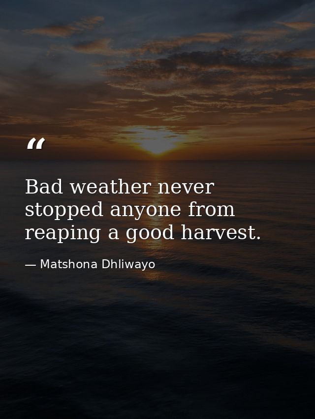 Bad weather never stopped anyone from reaping a good harvest. — Matshona Dhliwayo