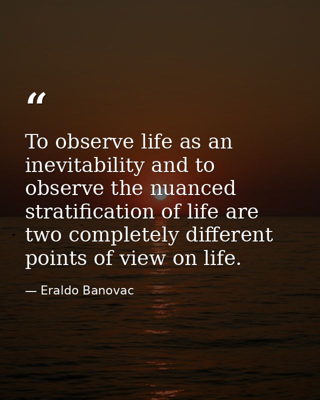 To observe life as an inevitability and to observe the nuanced stratification of life are two completely different point — Eraldo Banovac