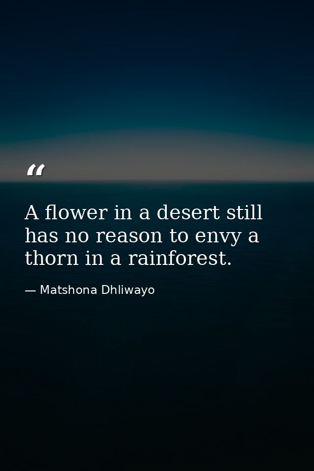 A flower in a desert still has no reason to envy a thorn in a rainforest. — Matshona Dhliwayo