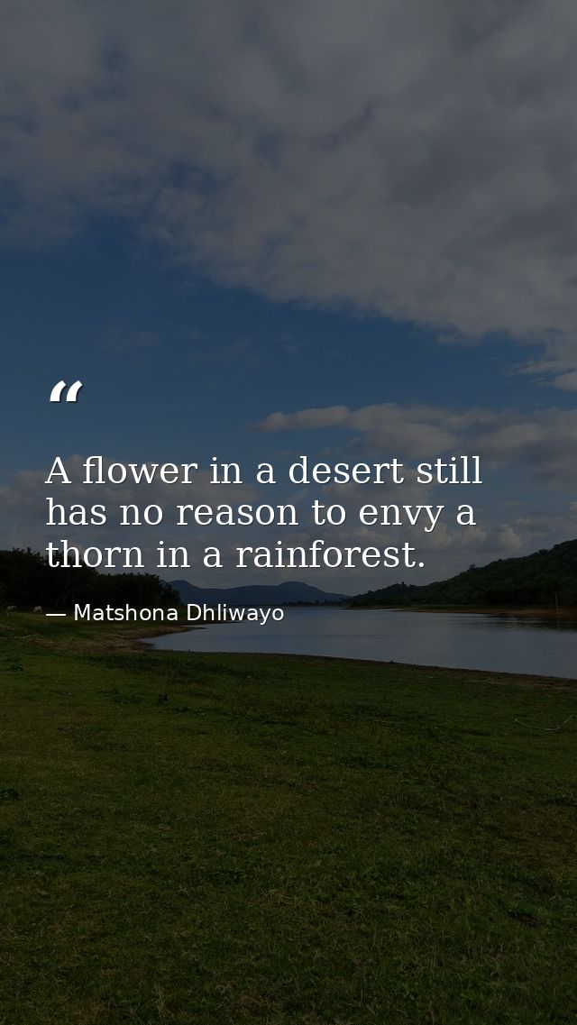 A flower in a desert still has no reason to envy a thorn in a rainforest. — Matshona Dhliwayo