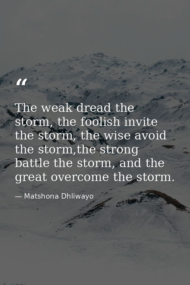 The weak dread the storm, the foolish invite the storm, the wise avoid the storm,the strong battle the storm, and the gr — Matshona Dhliwayo