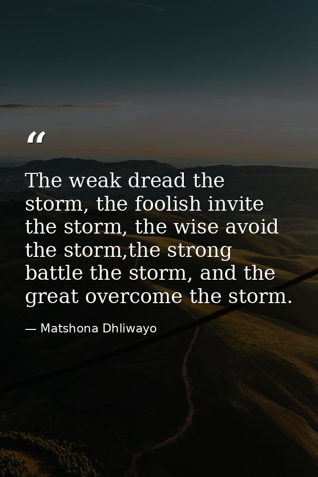 The weak dread the storm, the foolish invite the storm, the wise avoid the storm,the strong battle the storm, and the gr — Matshona Dhliwayo