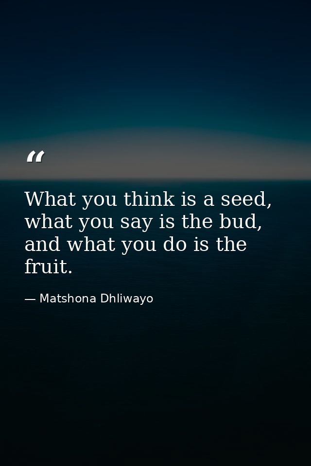 What you think is a seed, what you say is the bud, and what you do is the fruit. — Matshona Dhliwayo