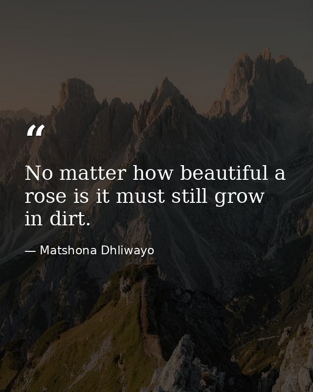 No matter how beautiful a rose is it must still grow in dirt. — Matshona Dhliwayo
