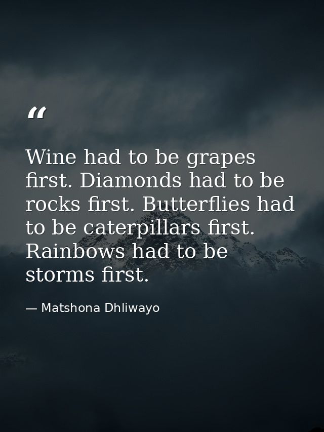 Wine had to be grapes first. Diamonds had to be rocks first. Butterflies had to be caterpillars first. Rainbows had to b — Matshona Dhliwayo