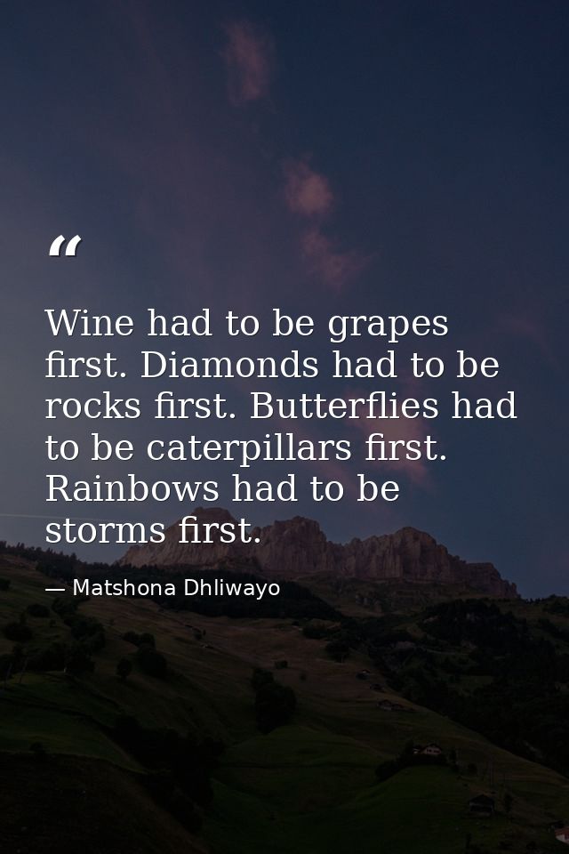 Wine had to be grapes first. Diamonds had to be rocks first. Butterflies had to be caterpillars first. Rainbows had to b — Matshona Dhliwayo