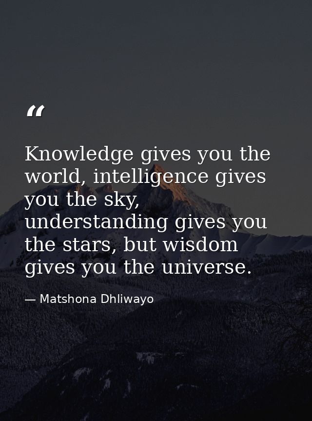 Knowledge gives you the world, intelligence gives you the sky, understanding gives you the stars, but wisdom gives you t — Matshona Dhliwayo