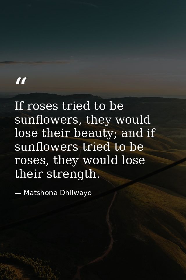 If roses tried to be sunflowers, they would lose their beauty; and if sunflowers tried to be roses, they would lose thei — Matshona Dhliwayo
