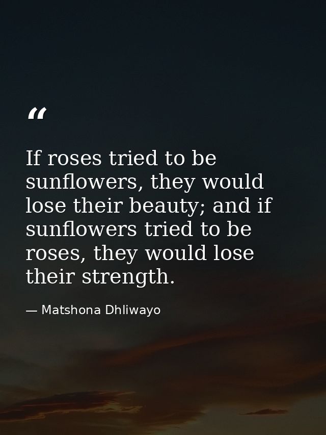 If roses tried to be sunflowers, they would lose their beauty; and if sunflowers tried to be roses, they would lose thei — Matshona Dhliwayo