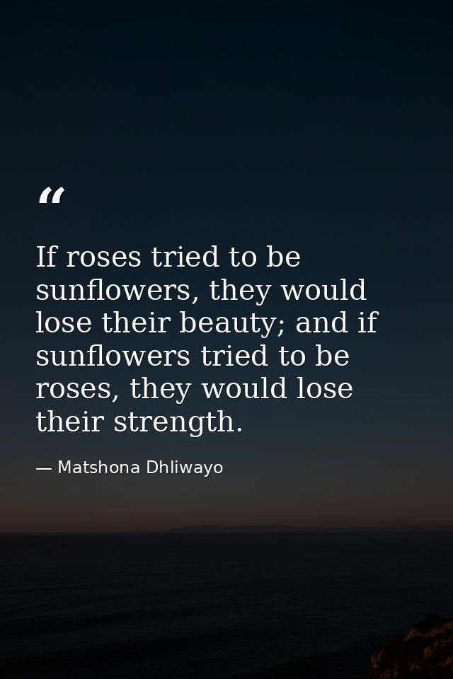 If roses tried to be sunflowers, they would lose their beauty; and if sunflowers tried to be roses, they would lose thei — Matshona Dhliwayo