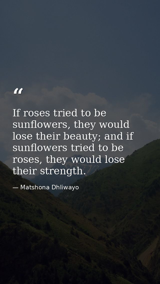 If roses tried to be sunflowers, they would lose their beauty; and if sunflowers tried to be roses, they would lose thei — Matshona Dhliwayo