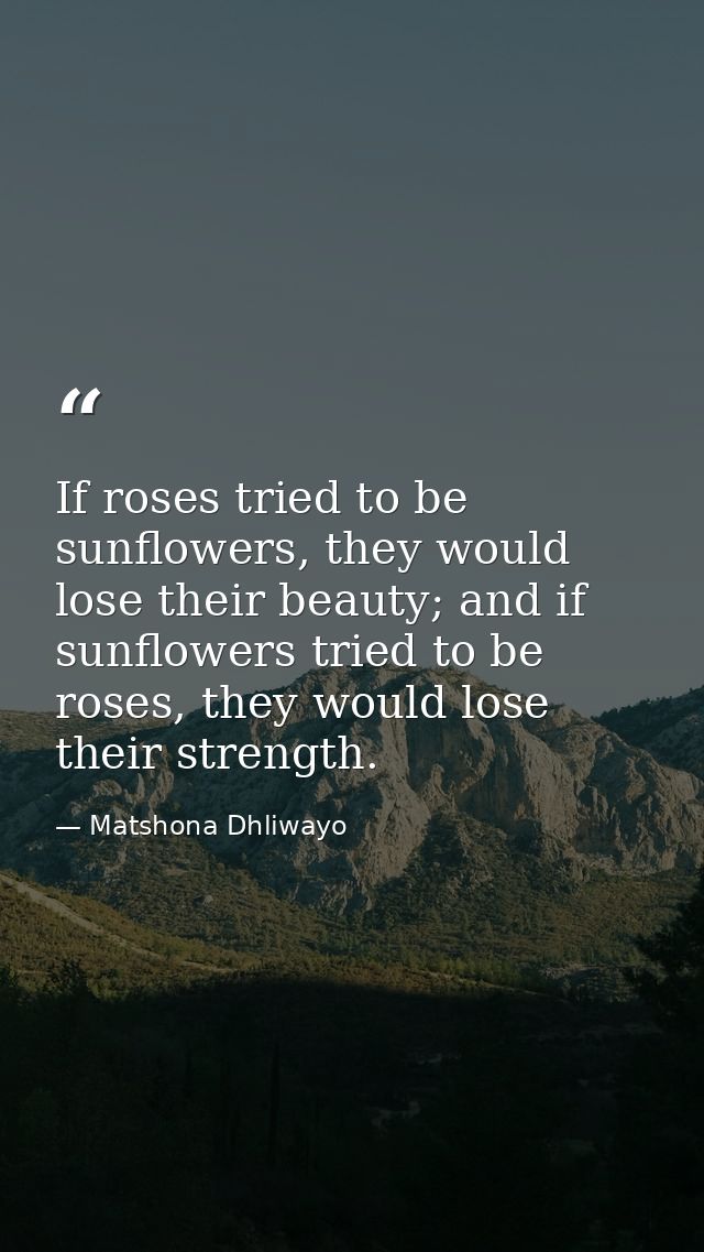 If roses tried to be sunflowers, they would lose their beauty; and if sunflowers tried to be roses, they would lose thei — Matshona Dhliwayo