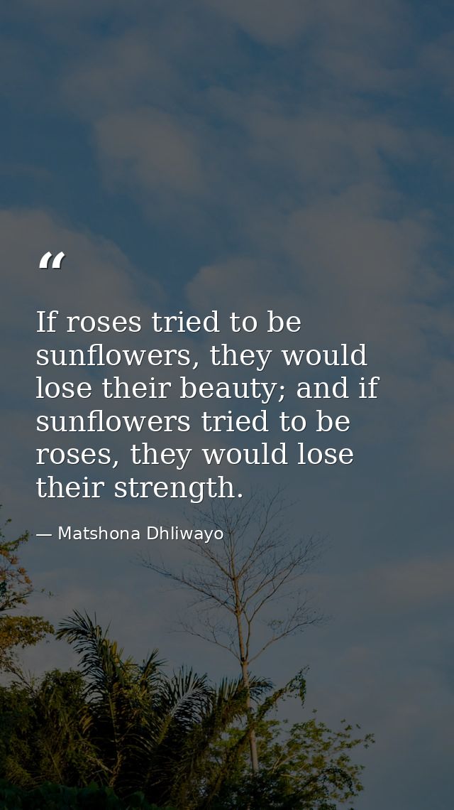 If roses tried to be sunflowers, they would lose their beauty; and if sunflowers tried to be roses, they would lose thei — Matshona Dhliwayo