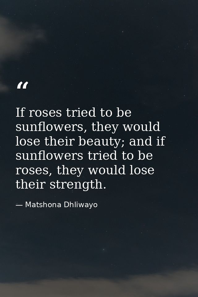 If roses tried to be sunflowers, they would lose their beauty; and if sunflowers tried to be roses, they would lose thei — Matshona Dhliwayo