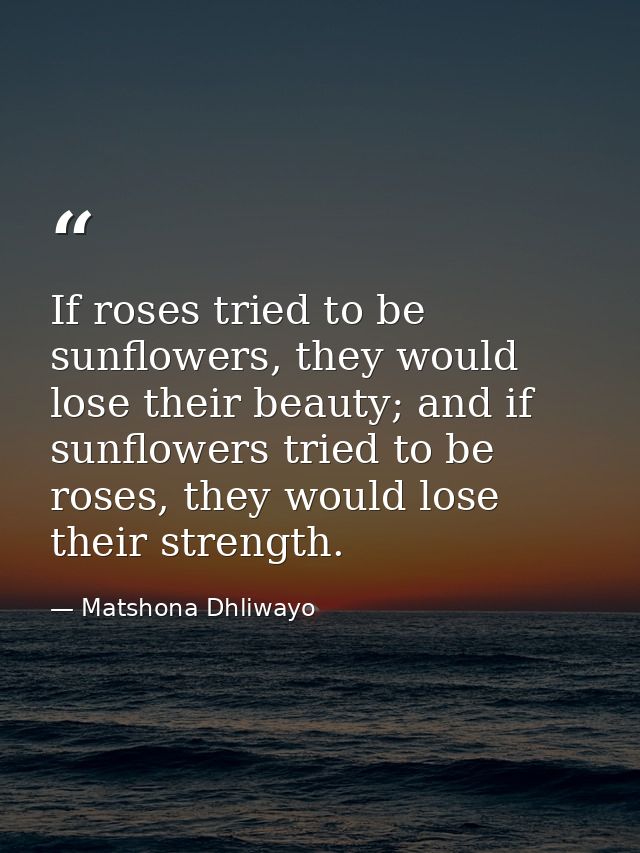 If roses tried to be sunflowers, they would lose their beauty; and if sunflowers tried to be roses, they would lose thei — Matshona Dhliwayo