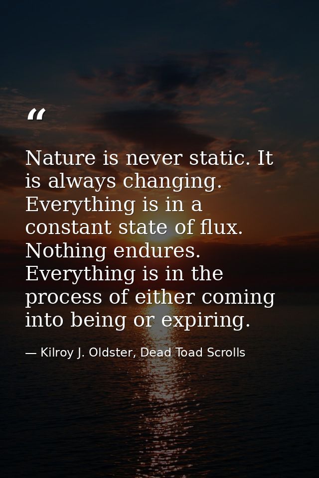 Nature is never static. It is always changing. Everything is in a constant state of flux. Nothing endures. Everything is — Kilroy J. Oldster, Dead Toad Scrolls