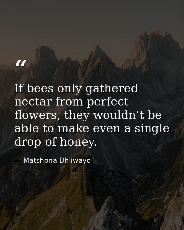 If bees only gathered nectar from perfect flowers, they wouldn’t be able to make even a single drop of honey. — Matshona Dhliwayo